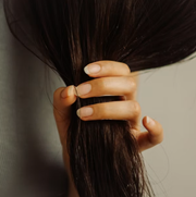 Horsetail Extract